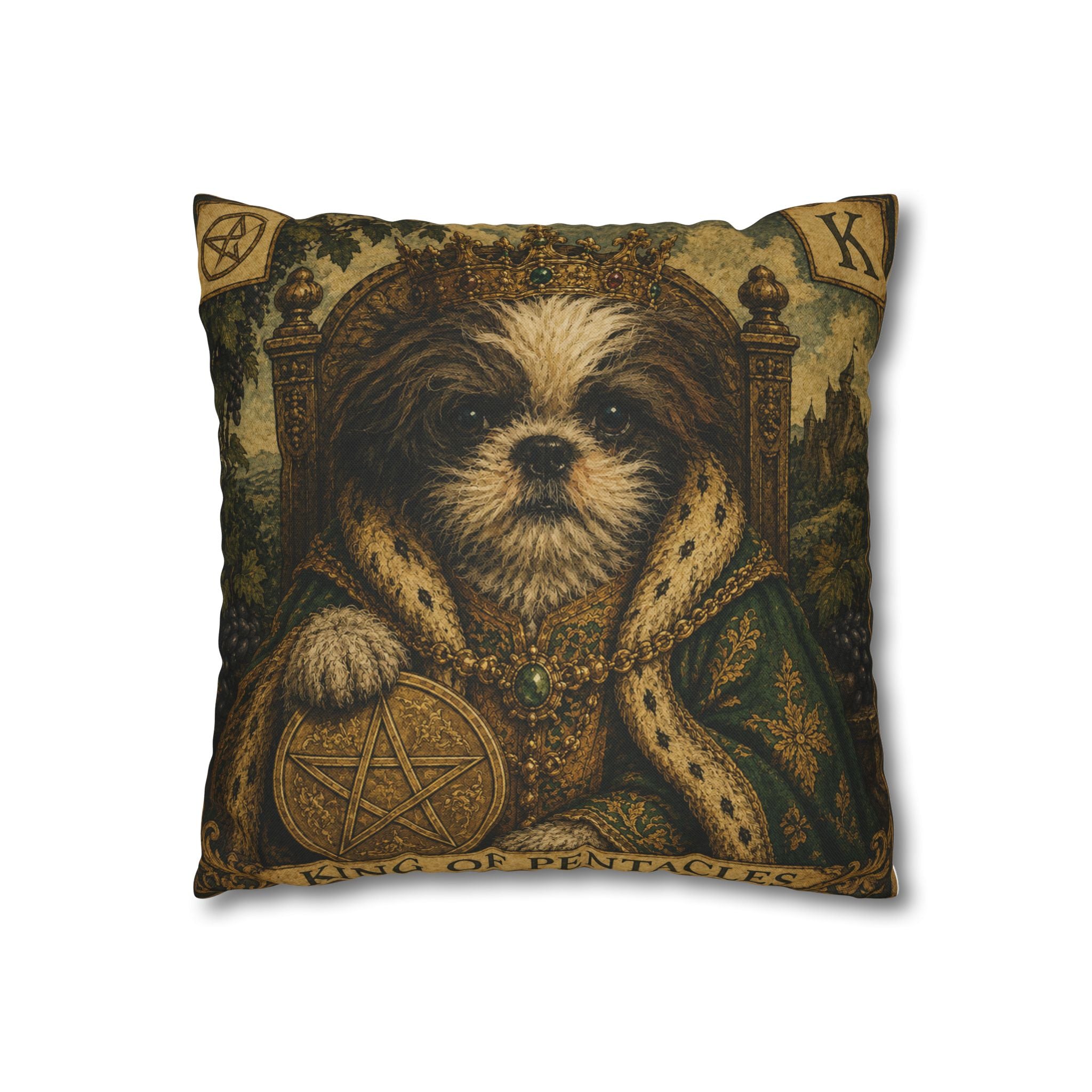 Home Decor Zorro Tarot style